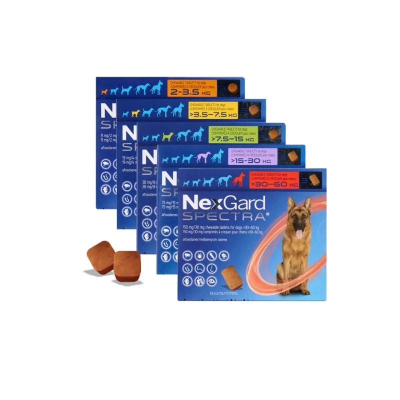 _ELLE Quỳnh Giang - ẢNH GẮN AFF (20).png