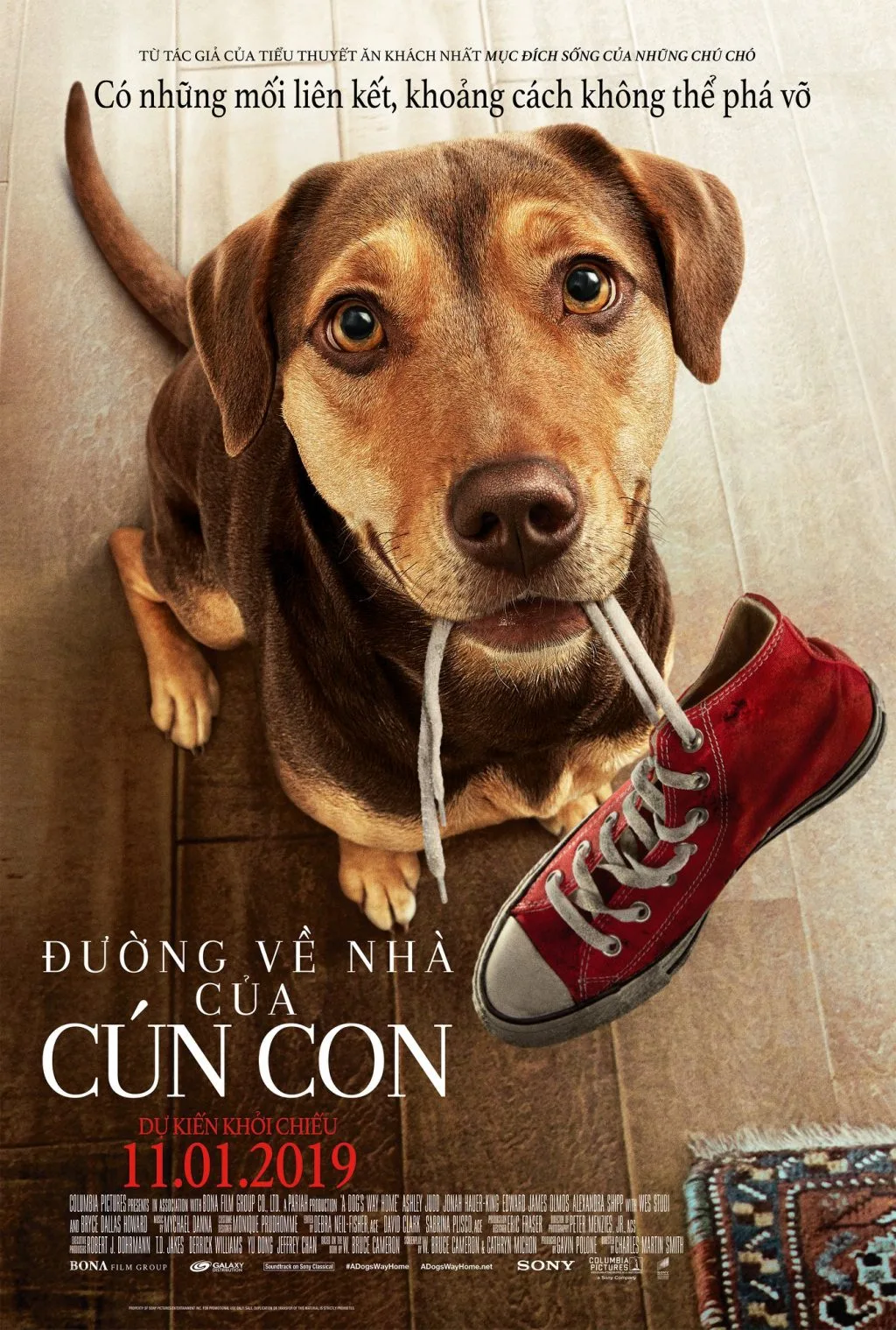 phim chiếu rạp 5