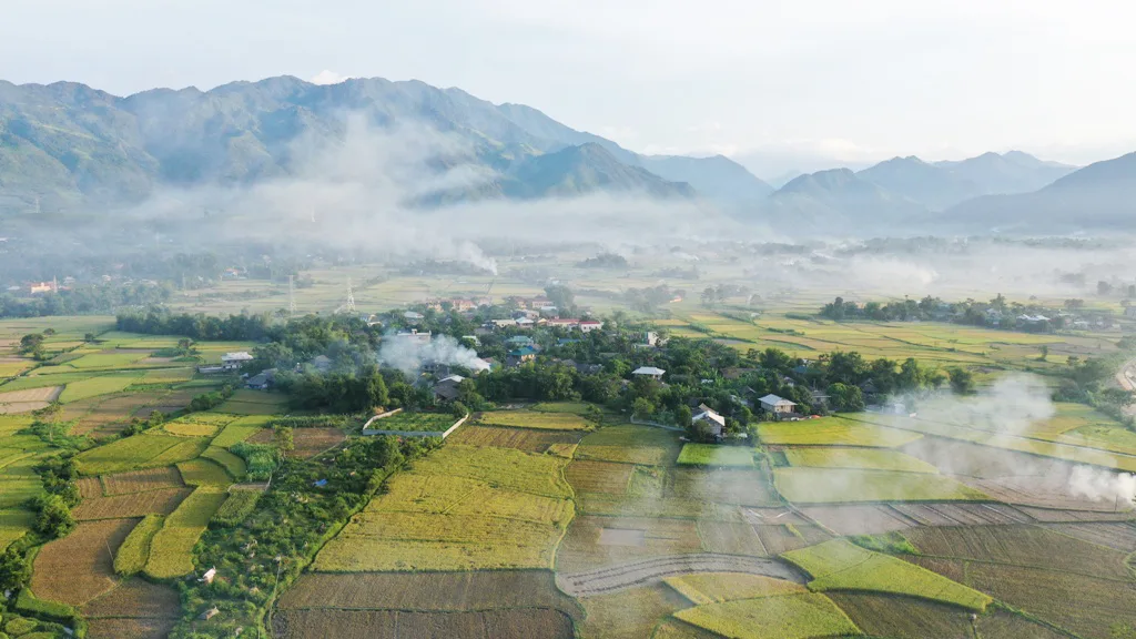 Cánh đồng mường lò Yên Bái