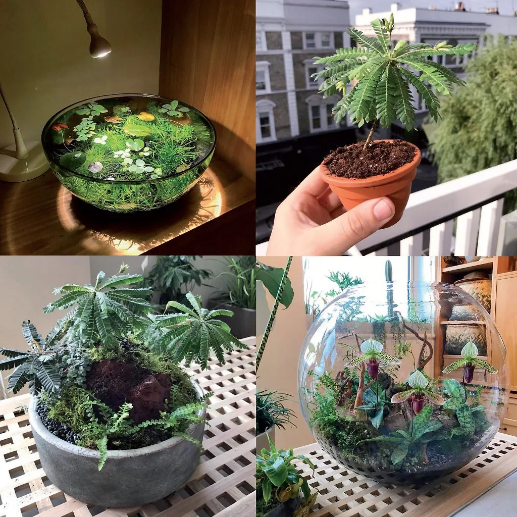 Instagram 4 tài khoản instagram 5