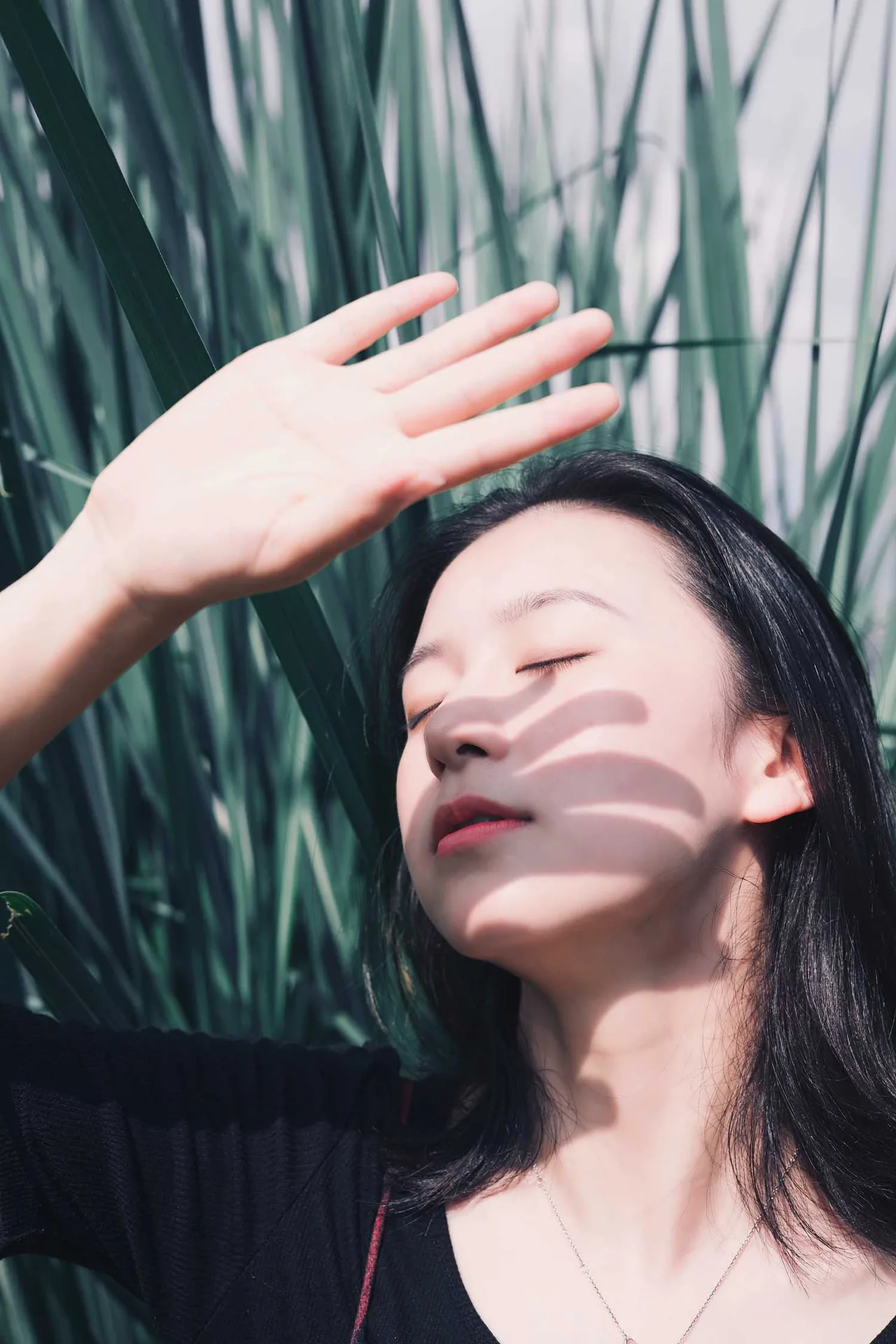 phương pháp sống hạnh phúc ikigai