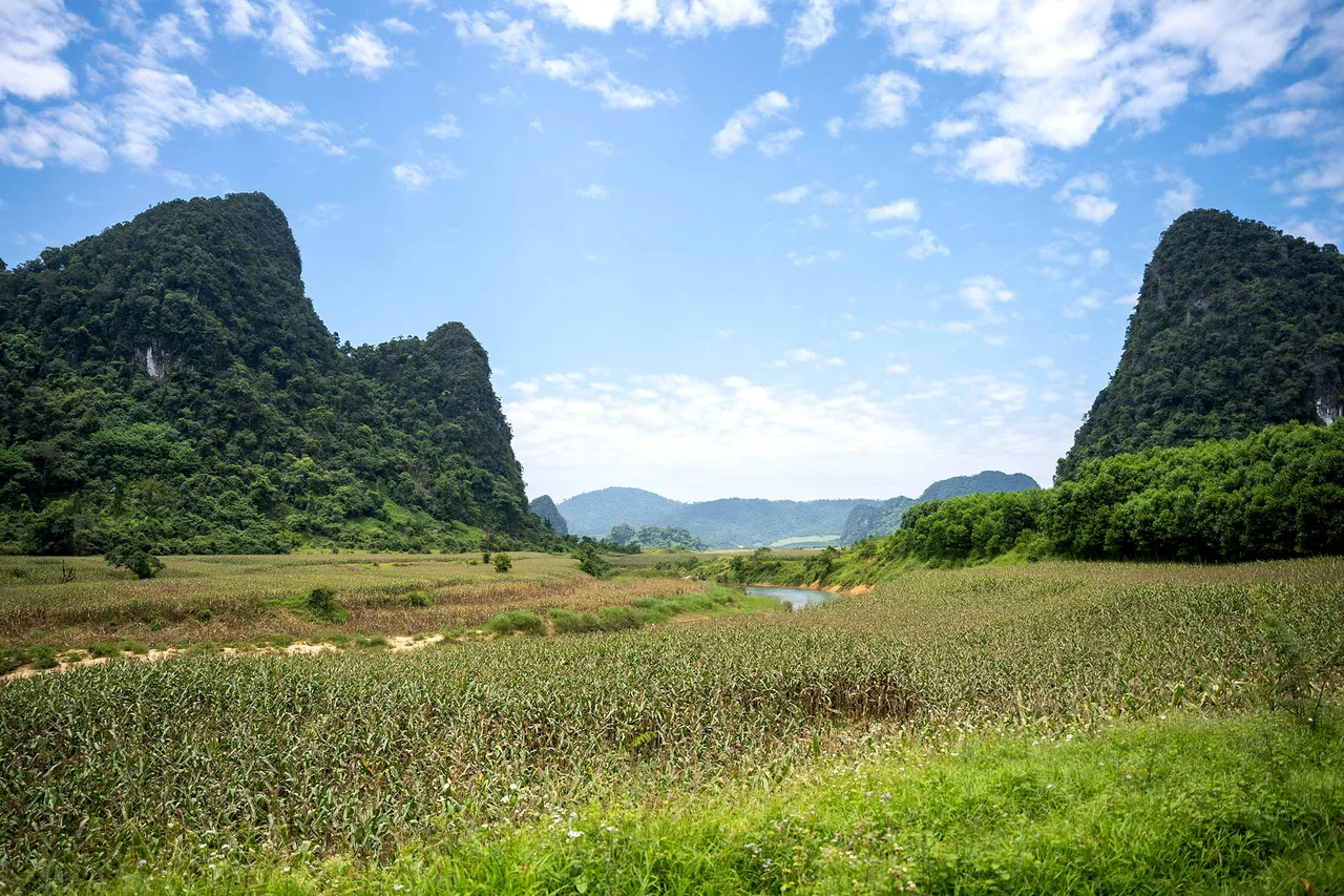 Tú Làn những đồng cỏ xanh rì Tú Làn những đồng cỏ xanh rì