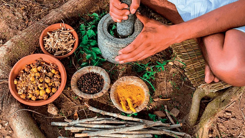 địa điểm khu vườn thuốc Maya địa điểm khu vườn thuốc Maya