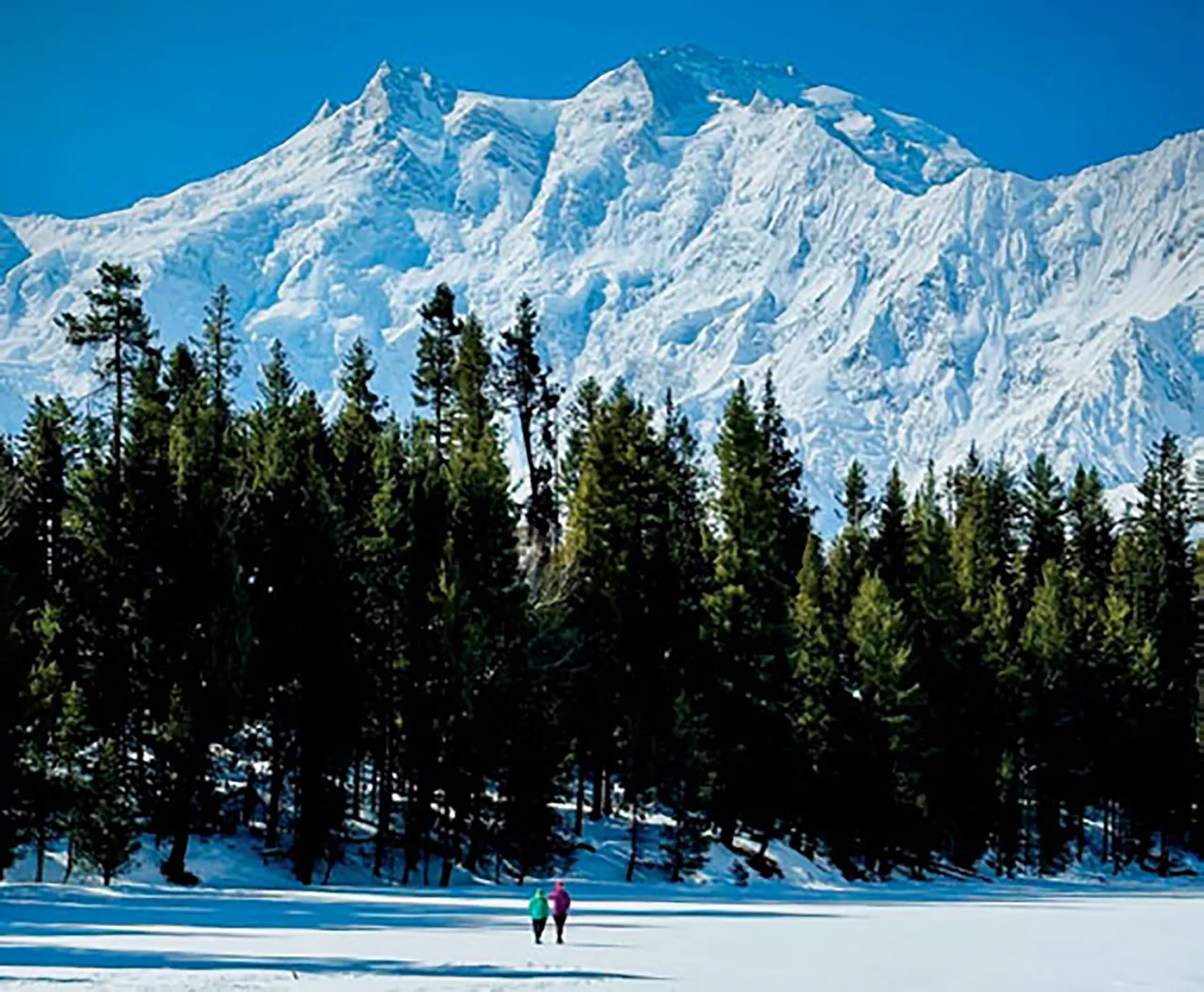pakistan vùng fairy meadow pakistan vùng fairy meadow