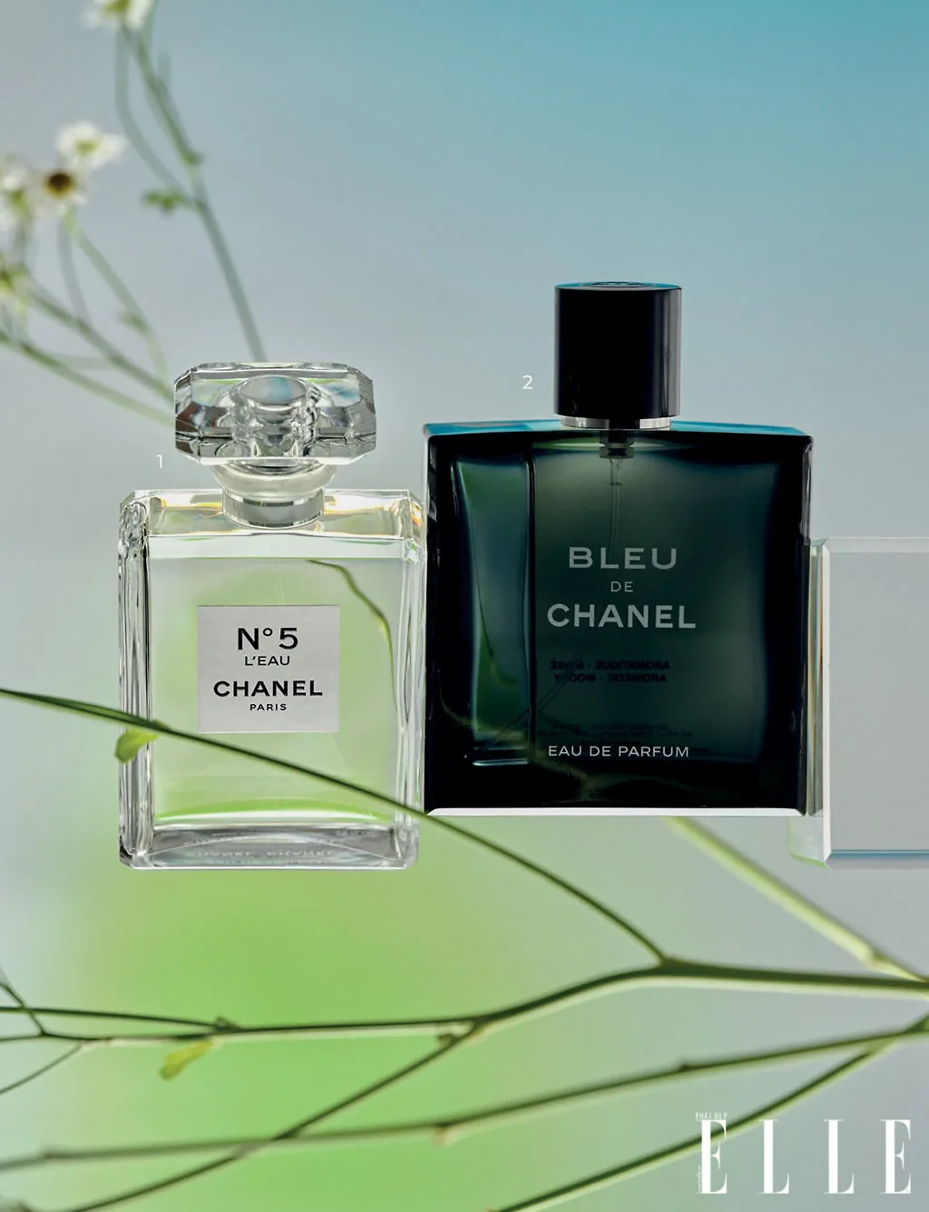 mùi hương đôi của thương hiệu Chanel mùi hương đôi của thương hiệu Chanel
