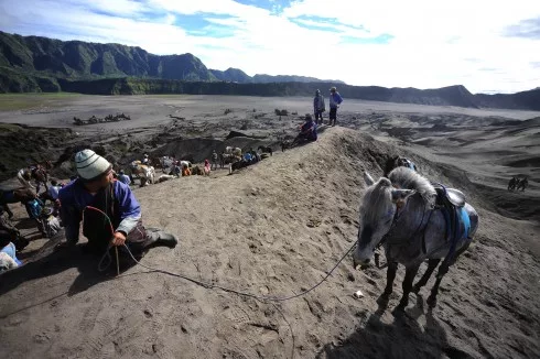 Phút nghỉ chân của người và ngựa ở lưng chừng núi Bromo
