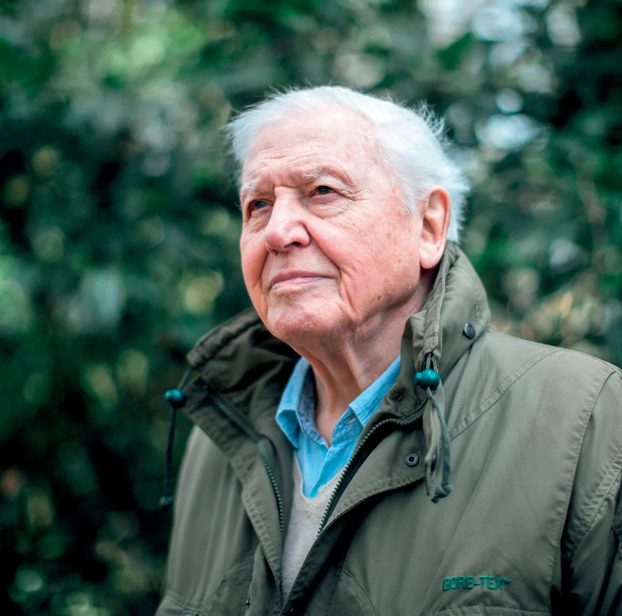 phim tài liệu nhà thuyết minh David Attenborough phim tài liệu nhà thuyết minh David Attenborough