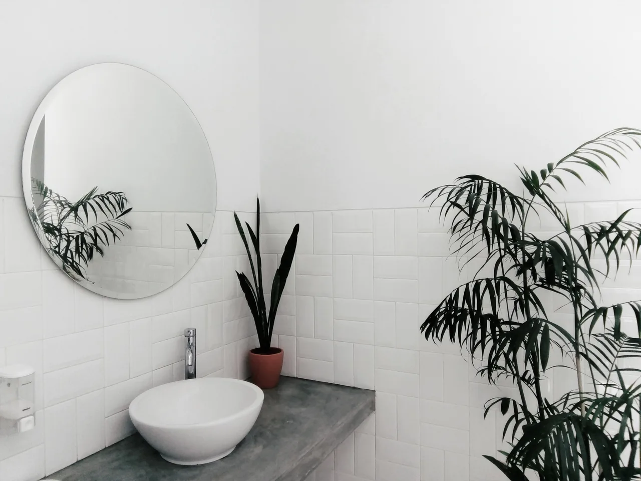 trồng cây trong nhà vệ sinh