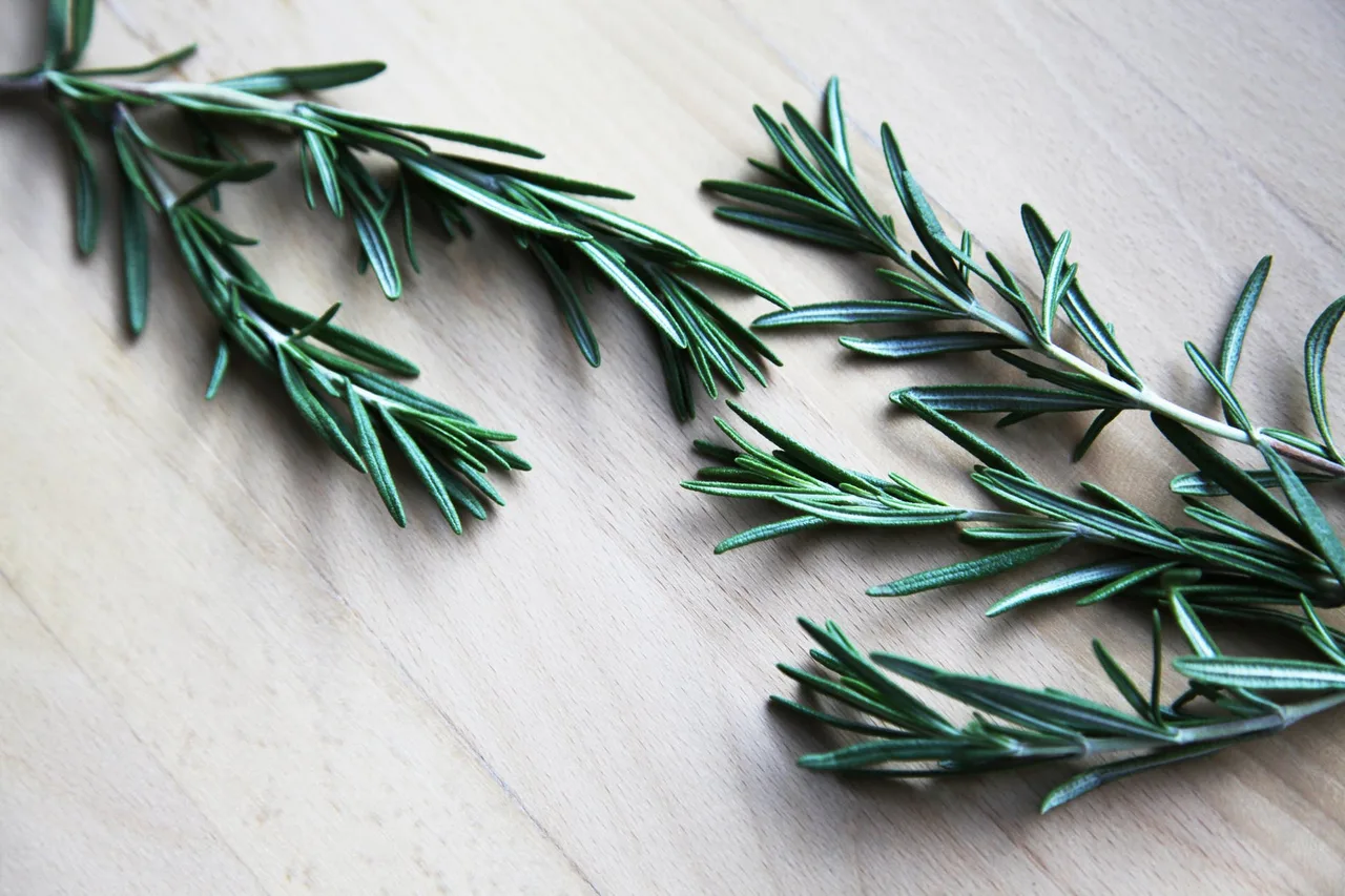 Dưỡng tóc-Lá Rosemary.