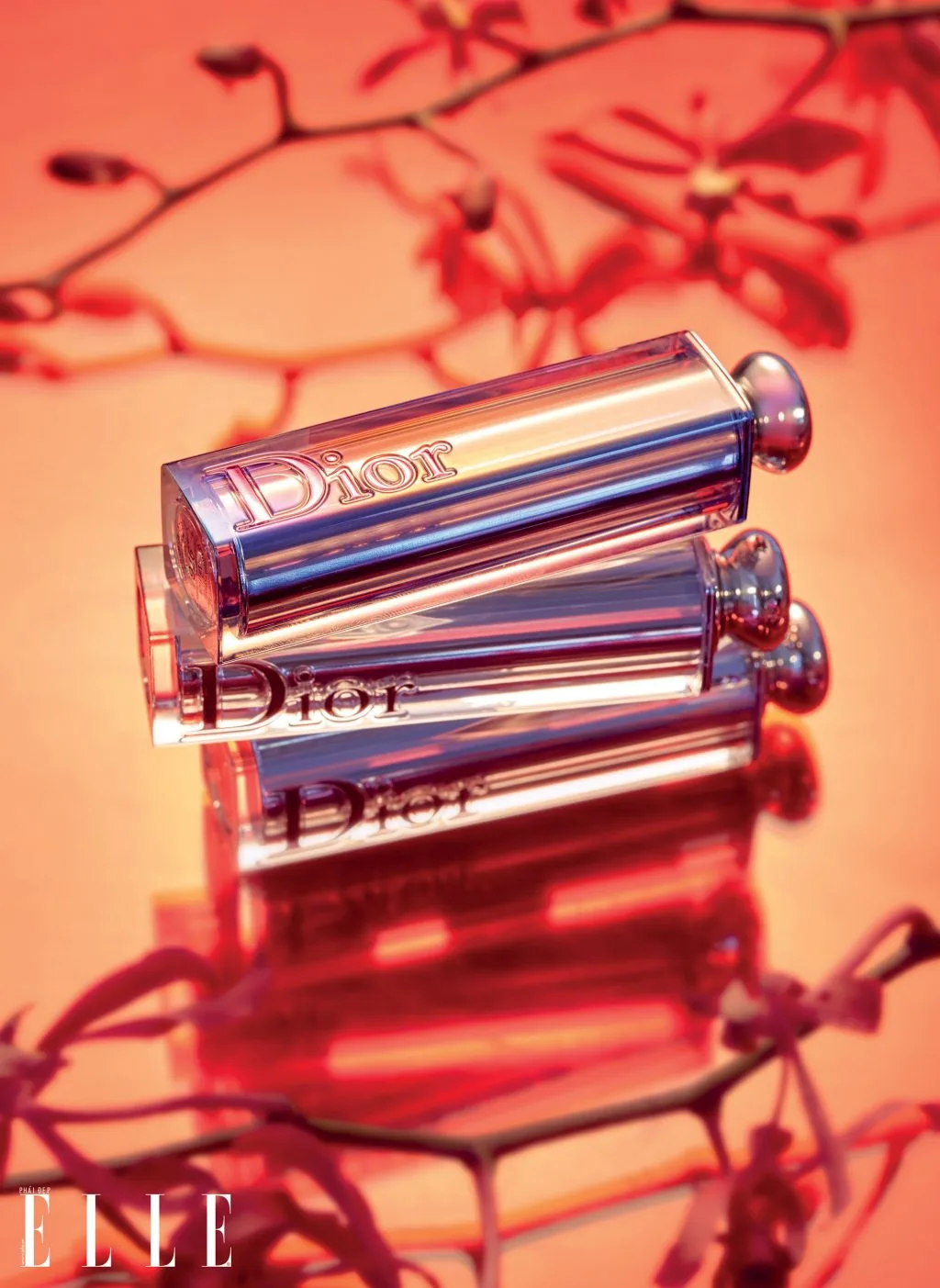 Son Addict Stellar Halo Shine DIOR mon sôi Son Addict Stellar Halo Shine DIOR