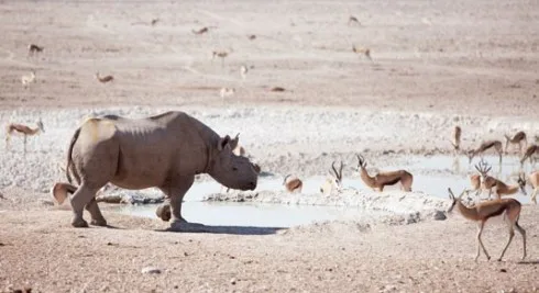 Du lich Namibia tieng goi noi hoang da 9