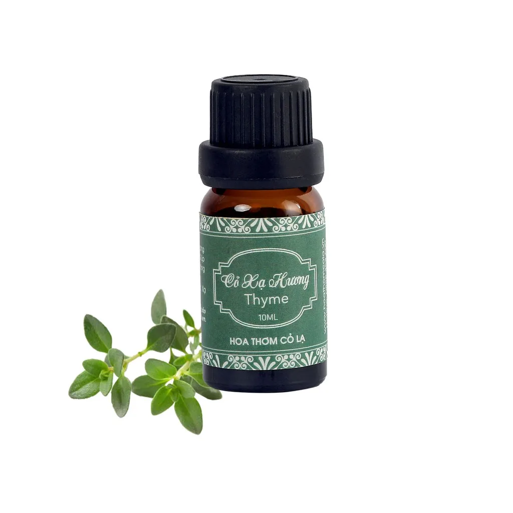 tinh dầu cỏ xạ hương thyme tinh dầu cỏ xạ hương thyme