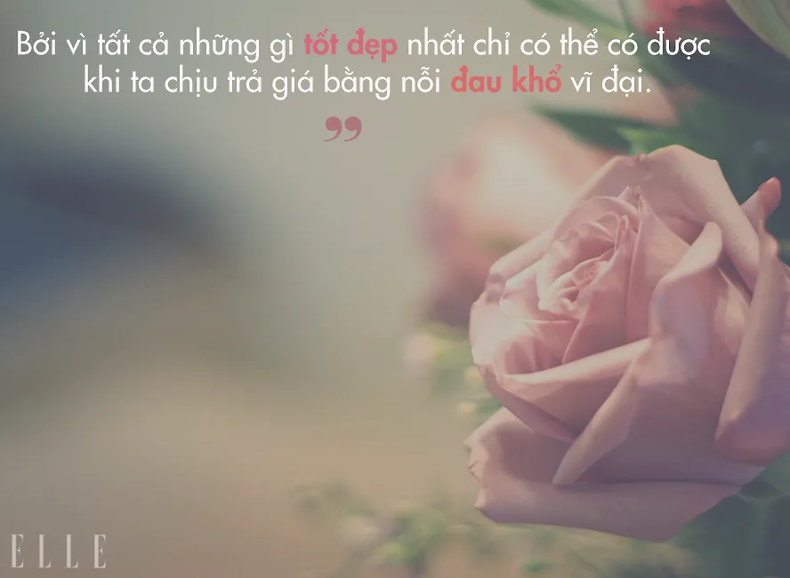 tiếng chim hót trong bụi mận gai
