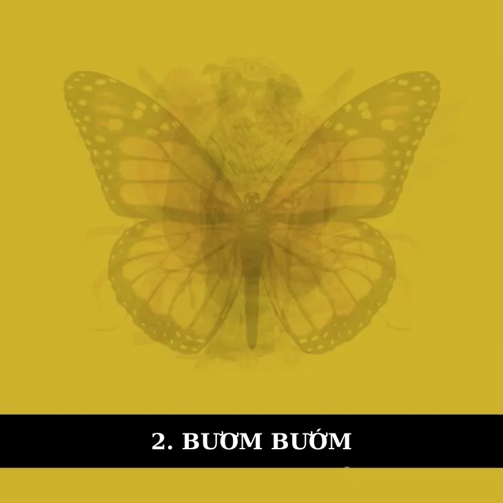 bươm bướm
