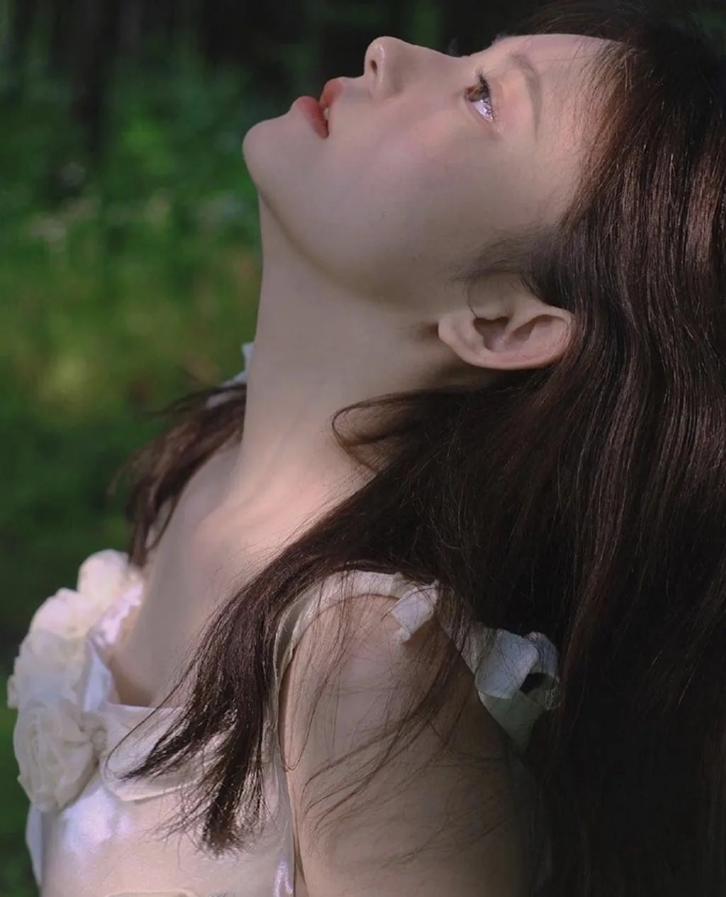 Các loại dầu gội khô.