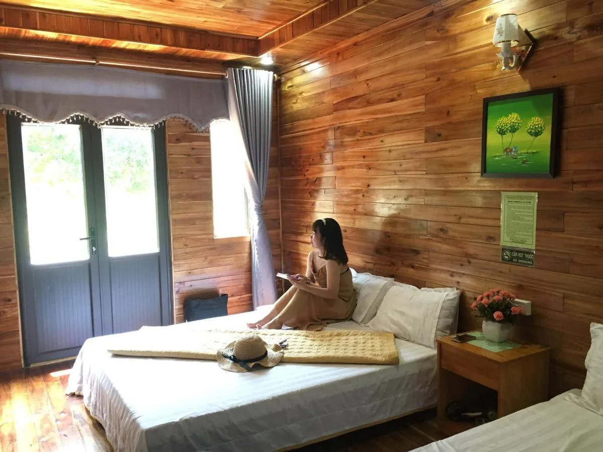 homestay 368 cô tô