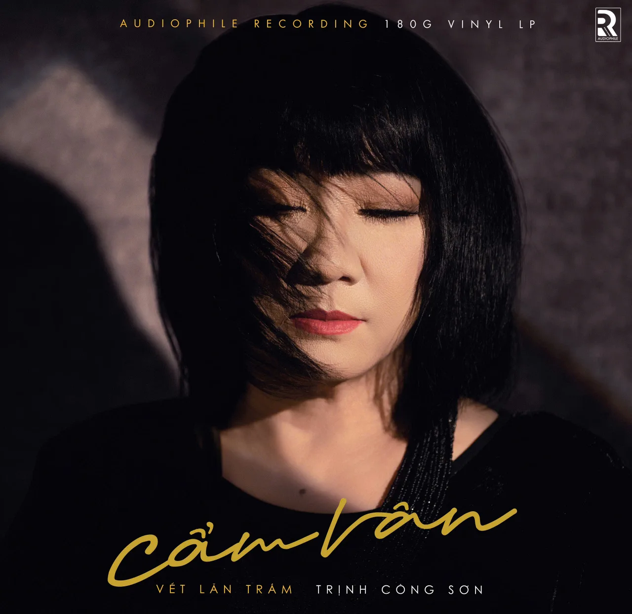 Danh ca, Diva ra mắt nhiều sản phẩm âm nhạc Việt 2025 như album Vết lăn trầm - Cẩm Vân.