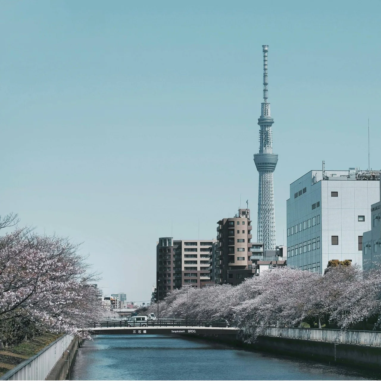 tokyo nhật bản