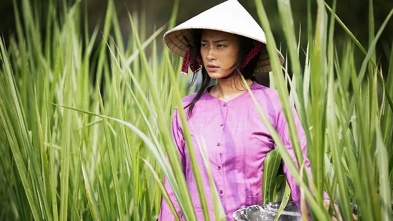 Bài viết liên quan