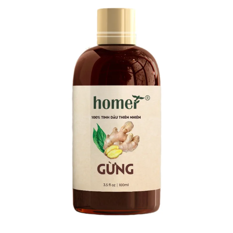 Thiết kế chưa có tên - 2023-11-01T062041.295.png