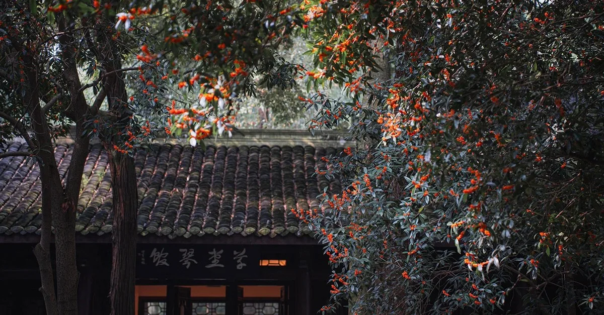 không gian thanh tịnh tại đỗ phủ thảo đường thành đô