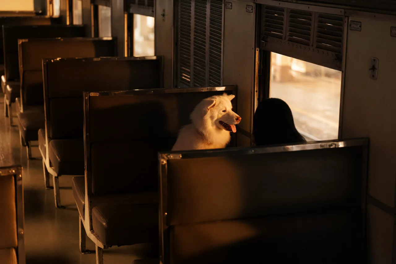 Phim Tạm Biệt Gohan được kỳ vọng sẽ trở thành "Hachiko của Thái Lan".