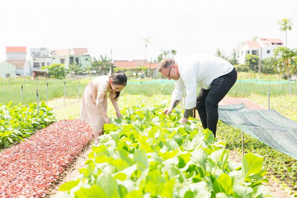 sheraton grand đà nẵng 04