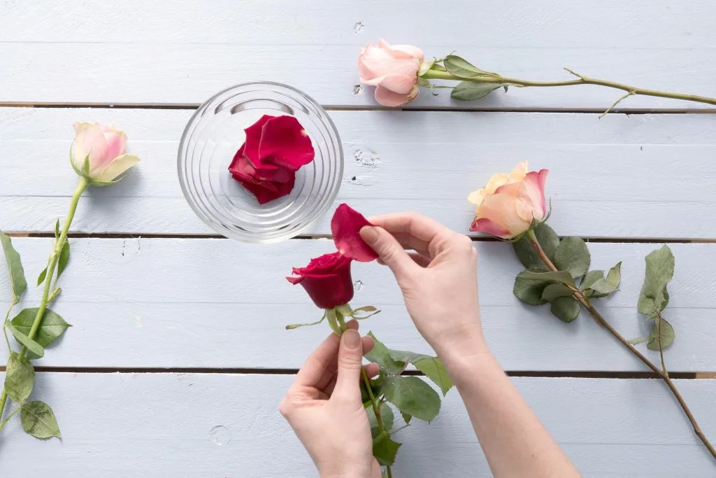 Đánh thức làn da tươi trẻ với 10 cách dùng nước hoa hồng Đánh thức làn da tươi trẻ với 10 cách dùng nước hoa hồng