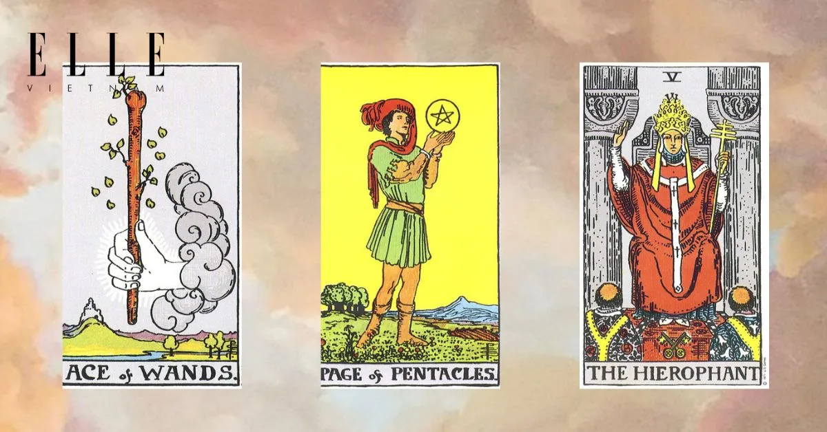 3 lá bài tarot: Ace of Wands - Page of Pentacles - The Hierophant