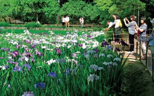 ellevn-decor-garden-11