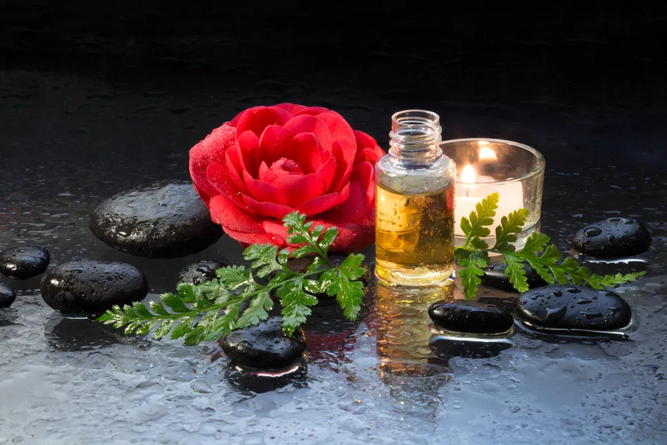 cách làm đẹp tự nhiên hoa trà đỏ cách làm đẹp tự nhiên hoa trà đỏ