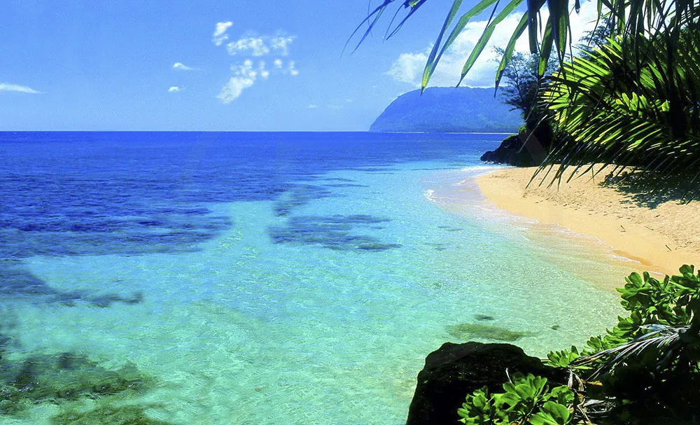 du lịch biển trăng mật hawaii
