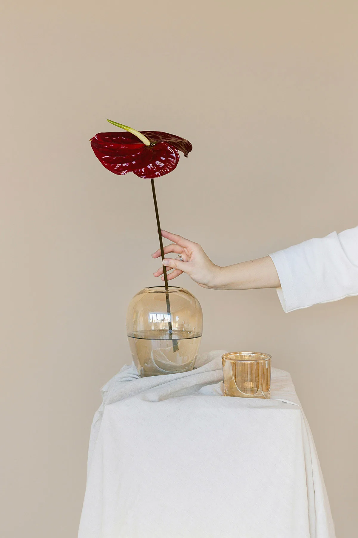thường xuyên thay nước để hoa tươi
