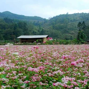 10 địa điểm du lịch đẹp nhất mùa Thu-Đông Việt Nam