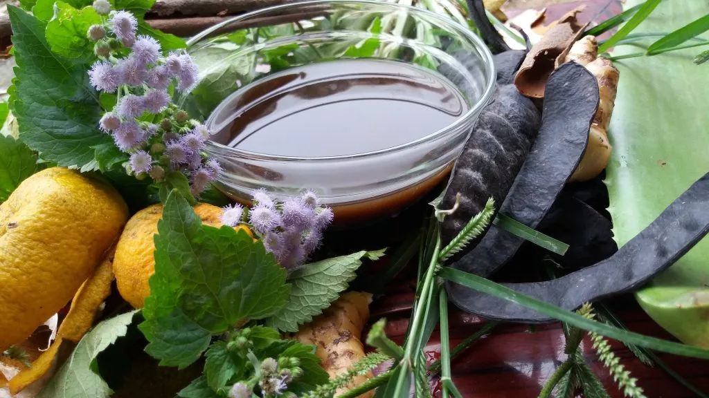 phương pháp no poo bồ kết không dùng dầu gội phương pháp no poo bồ kết không dùng dầu gội