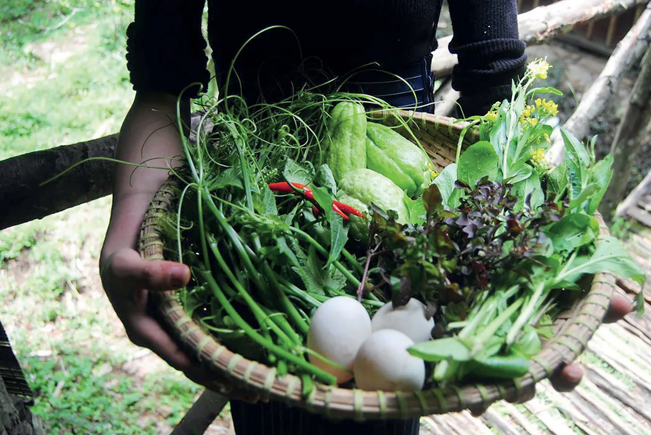 lương thực bản địa lương thực bản địa