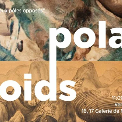 polar voids triển lãm nghệ thuật