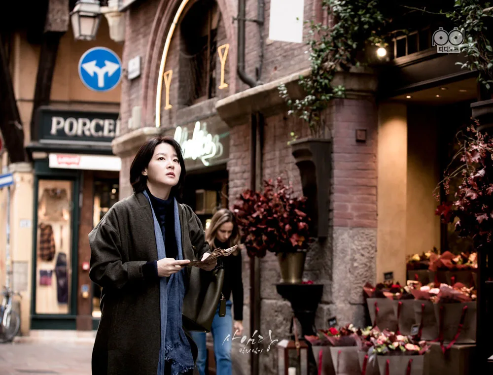 lee young ae saimdang memoir of colors