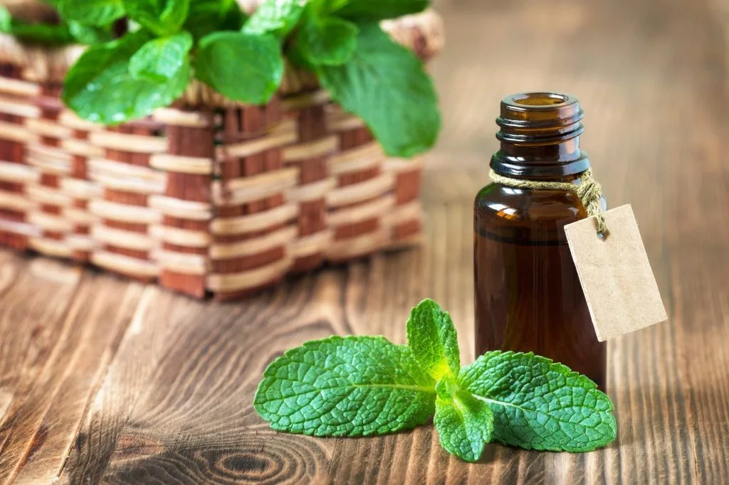 tinh dầu thiên nhiên 01 tinh dầu thiên nhiên 01