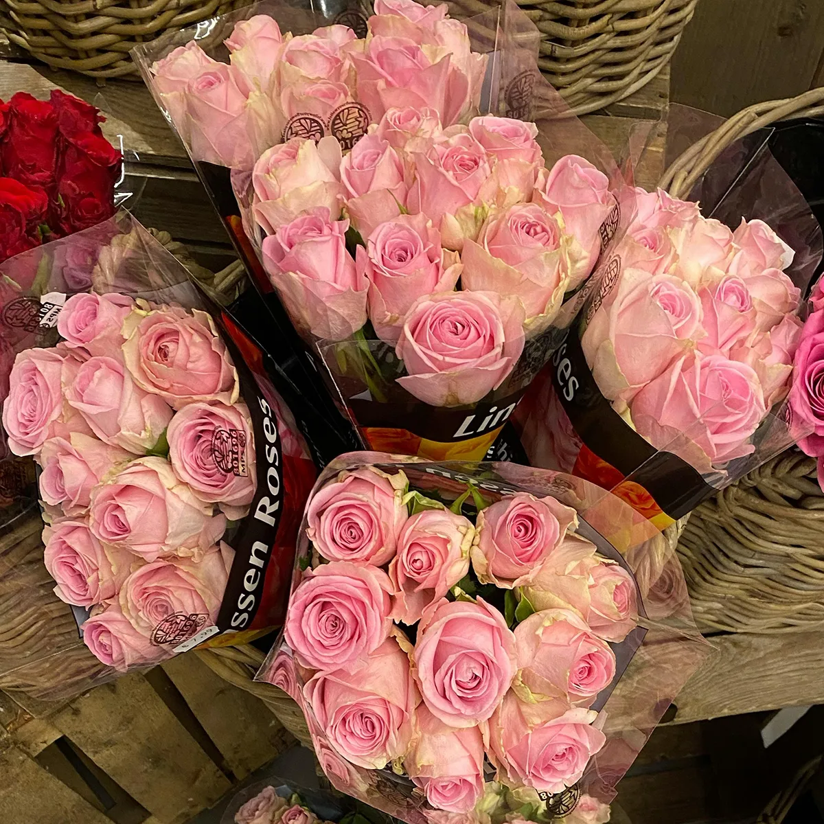 hoa hồng cho Valentine