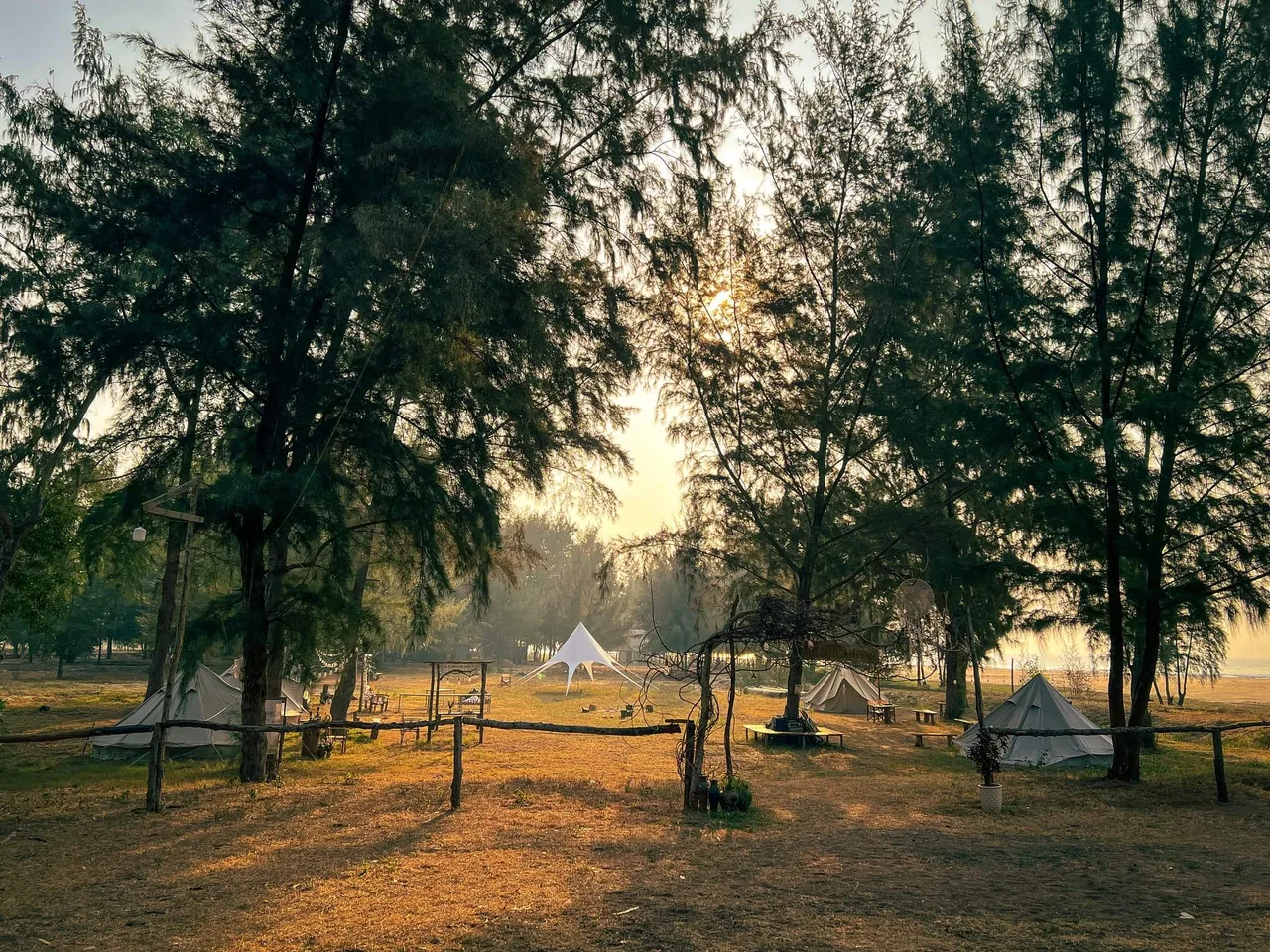 Dã ngoại ở đi bụi camping