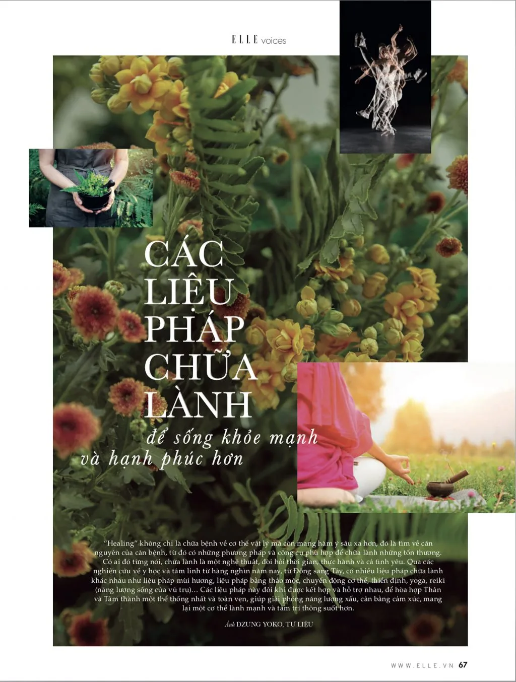 phụ nữ và các liệu pháp chữa lành phụ nữ và các liệu pháp chữa lành