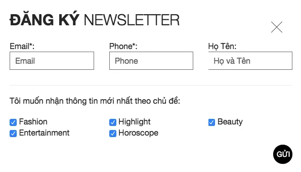 elle việt nam newsletter