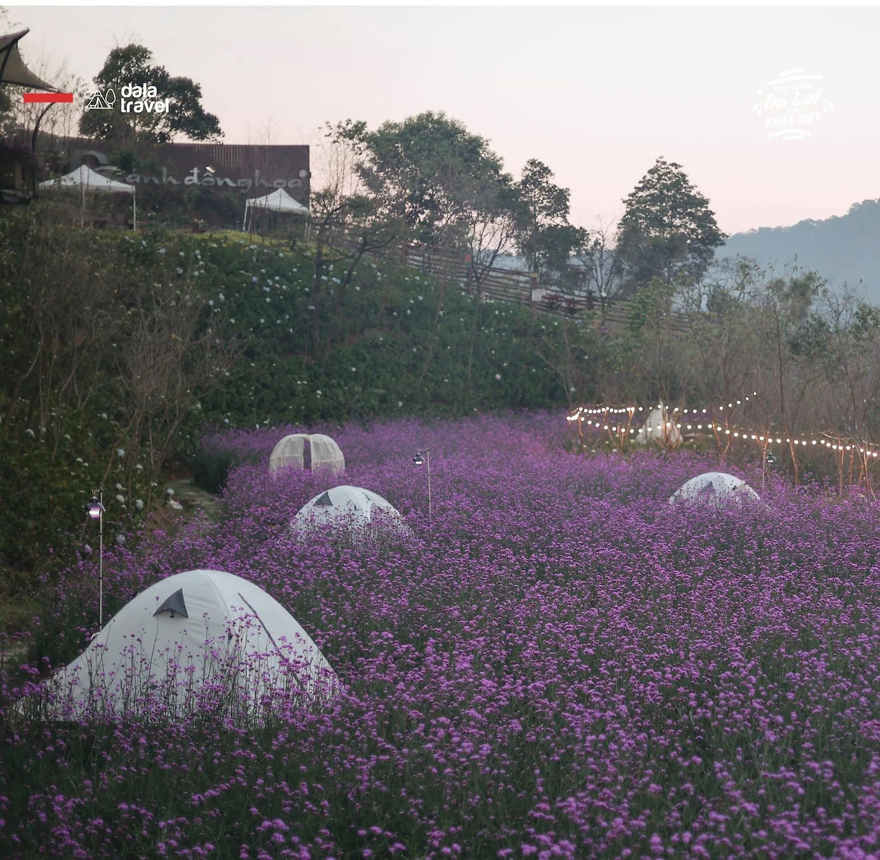 cắm trại Da La Travel 5