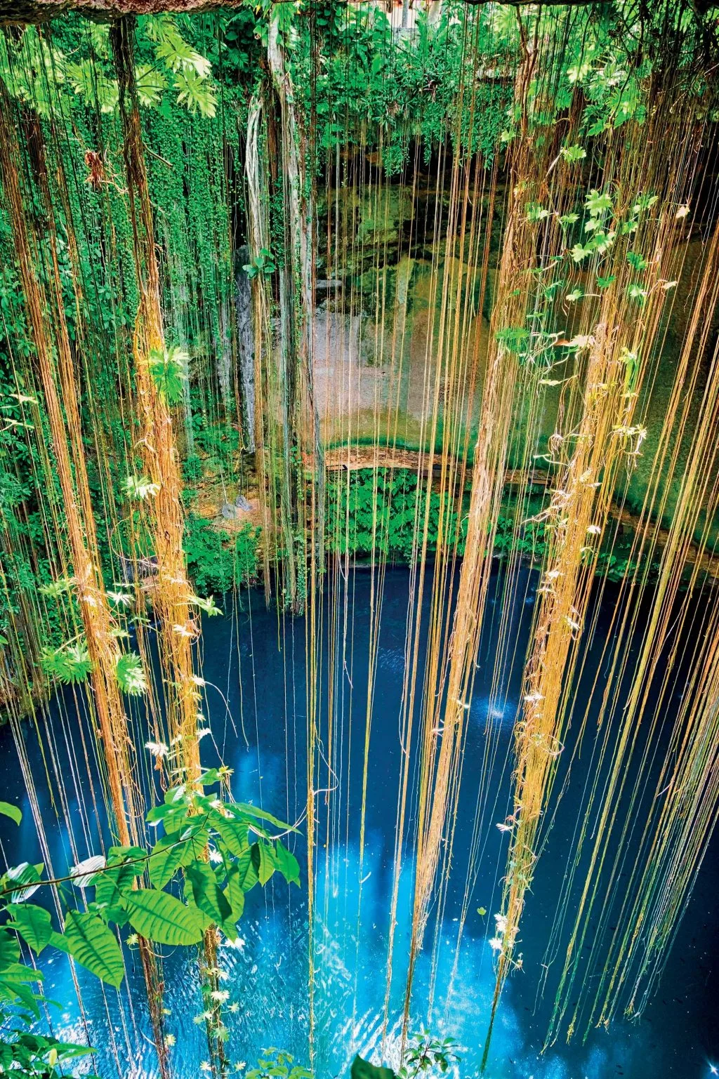 Mexico 5 Cenote là một trong những "đặc sản" của du lịch Mexico