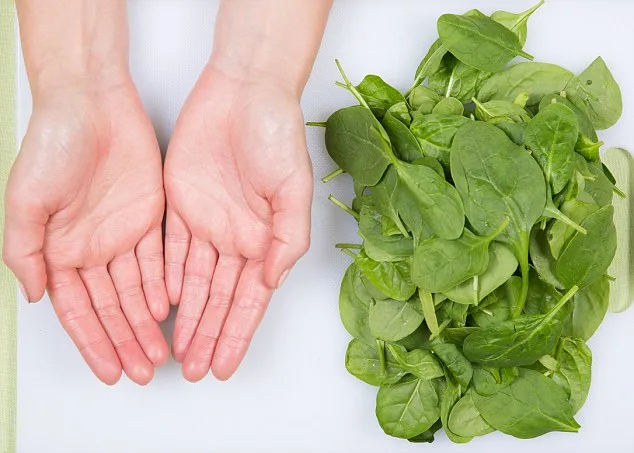 Nguyên tắc bàn tay - xác định liều lượng cho chế độ ăn uống hợp lý Nguyên tắc bàn tay - xác định liều lượng cho chế độ ăn uống hợp lý