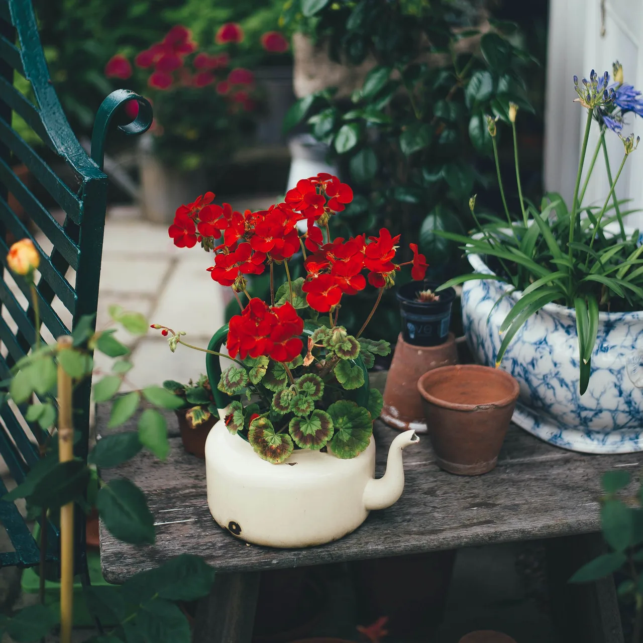 chậu hoa sứ đẹp bền