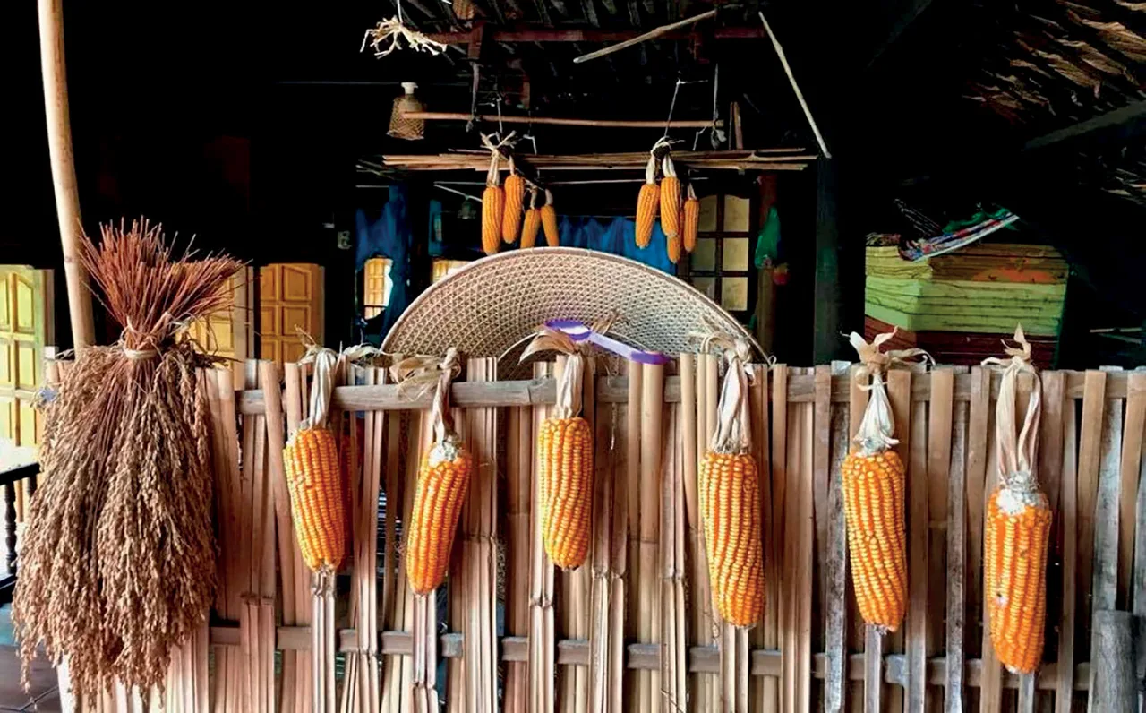 trang trại thực phẩm khô trang trại thực phẩm khô