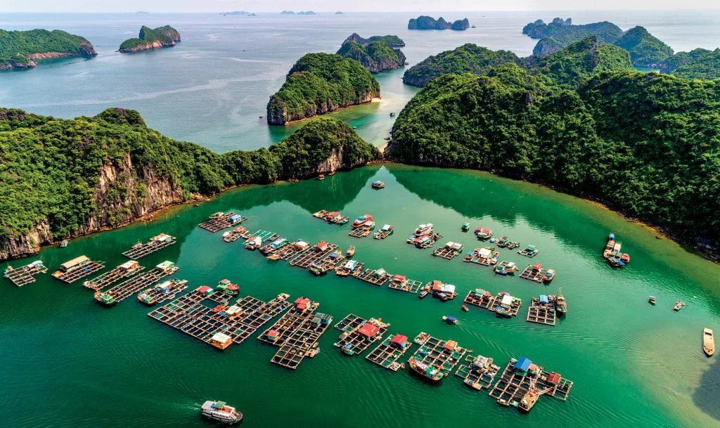 hòn đảo làng chài Cái Bèo hòn đảo làng chài Cái Bèo