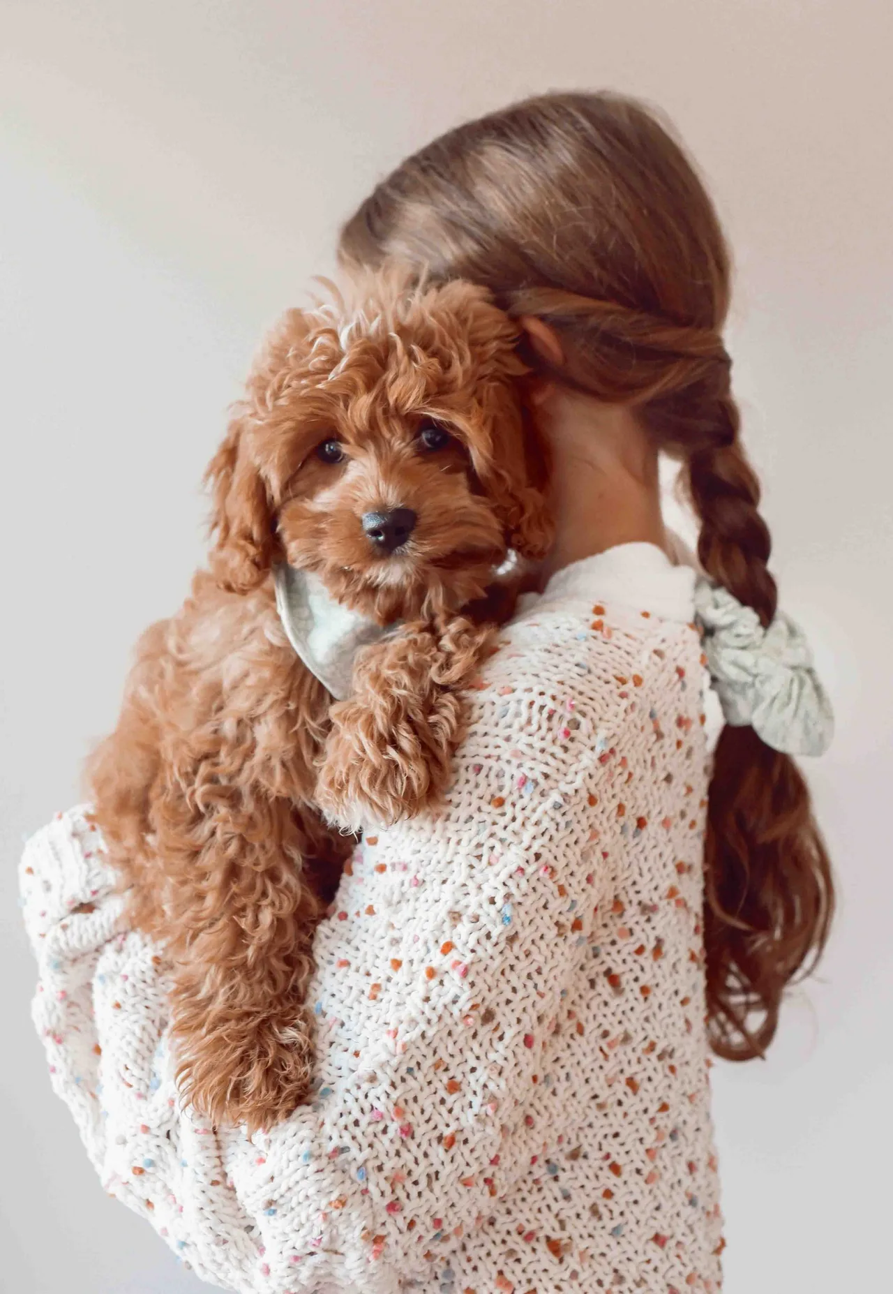 Bài học cuộc sống từ bạn cún paige cody unsplash